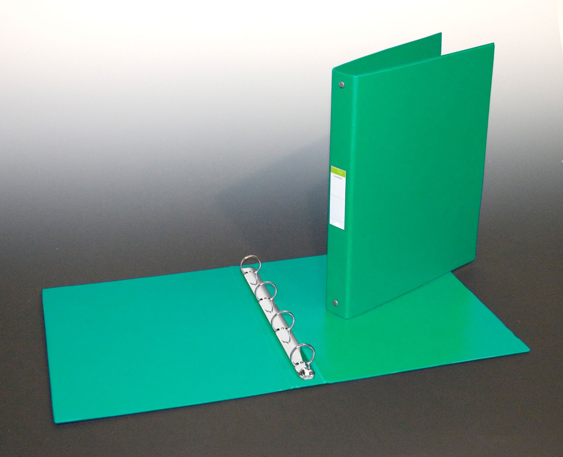 Serviete, Caiet mecanic 4 inele - D25mm, coperti carton plastifiat PVC, A4, AURORA - verde - vectordirect.ro