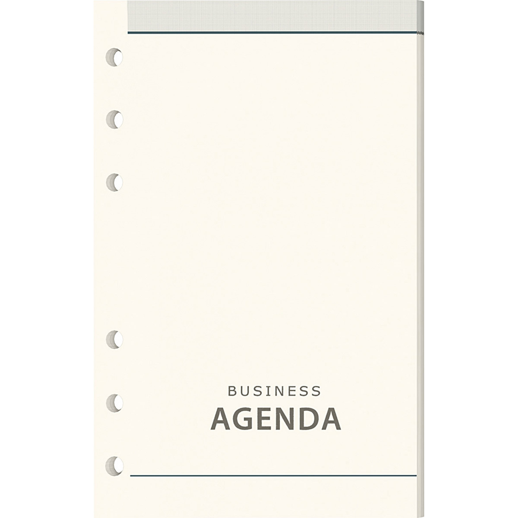 Rezerva organizer B6 Precision Rezerva Organizer Dictando
