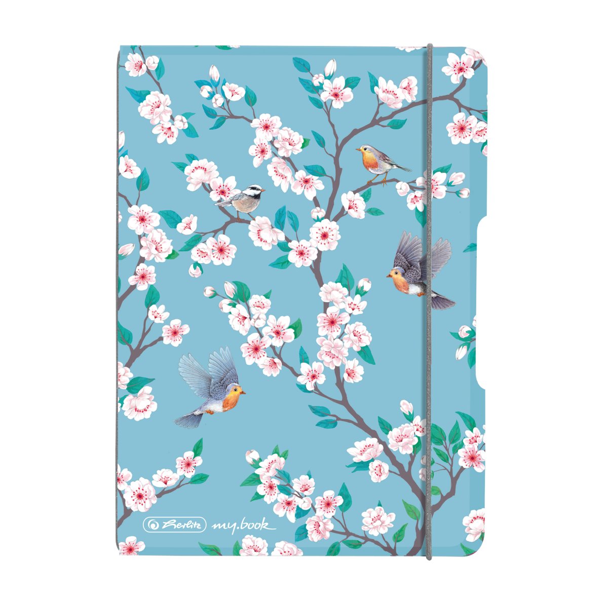 CAIET MY.BOOK FLEX A6 40F DICTANDO LADYLIKE BIRDS