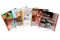 Cutii arhivare, alonje Nikidom LOCALE Leitz Ergo Cif Aurora Protectia muncii pbs Data flash DELI, Caiet A5, 48 file - 80g/mp, liniat stanga, coperta imagini cu animale, AURORA Splendid - dictando - vectordirect.ro