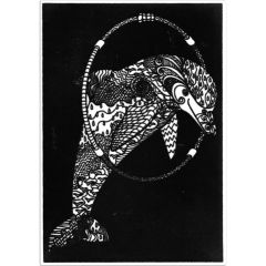 Rechizite scolare Acvila, Plansa de Catifea pentru Colorat Acvila Contrast Velvet Marin 5 - vectordirect.ro