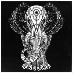 Rechizite scolare Acvila, Plansa de Catifea pentru Colorat Acvila Contrast Velvet Zoo 8 - vectordirect.ro