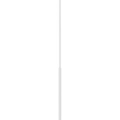 Ascutitori Tombow, Rezerva Radiera Tombow Mono Zero Round Tip 2,3 mm - 2 Buc - vectordirect.ro