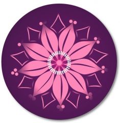 Cutii arhivare, alonje Q-connect Standardgraph Rapid Trunki Acvila Nikidom Roller, Abtibilduri roti, 2buc/set, Roller NIKIDOM - Spring - vectordirect.ro