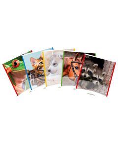 Caiet A5, 48 file - 80g/mp, liniat stanga, coperta imagini cu animale, AURORA Splendid - dictando
