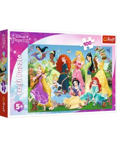 PUZZLE 100 PRINTESELE SARMANTE