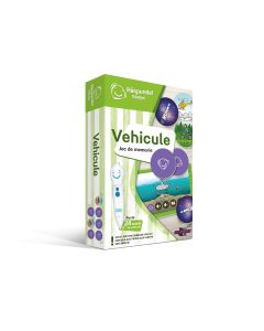 Raspundel Istetel Vehicule: Joc de memorie