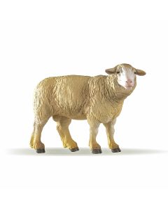 PAPO FIGURINA OAIE MERINOS