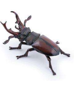 PAPO FIGURINA RADASCA