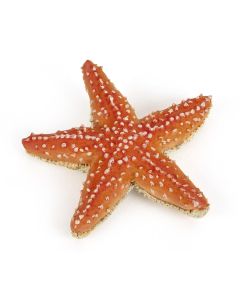 PAPO FIGURINA STEA DE MARE