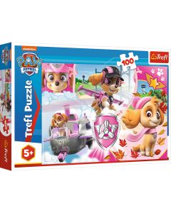 PUZZLE TREFL 100 SKYE IN ACTIUNE