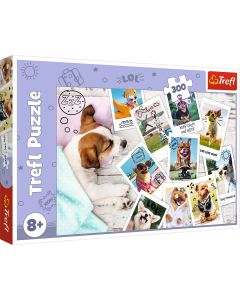 PUZZLE TREFL 300 POZE DIN VACANTA