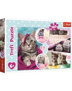 PUZZLE TREFL 160 PISICI DRAGALASE