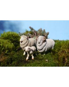 PAPO FIGURINA OAIE MERINOS