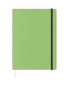 Agenda Precision Velvet A5 Lime Lined