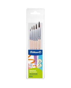 SET 5 PENSULE STARTER (SERIA 24: 2, 4, 8, 10, 12), PREZENTARE PE BLISTER