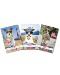 CAIET A5 48F PATRATELE COOL DOG
