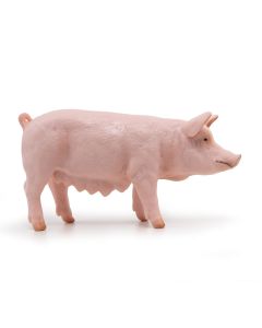 PAPO FIGURINA SCROAFA