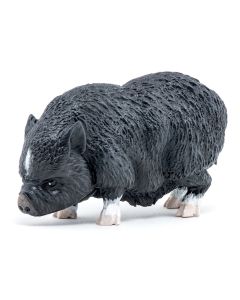 PAPO FIGURINA PORC VIETNAMEZ