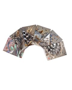 Caiet A5, 48 file, 80gsm, coperta carton 300gsm, design 3D arts - dictando