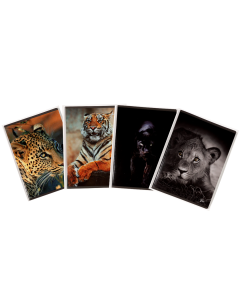 Caiet A5, 48 file, 80gsm, coperta carton 300gsm, design animals - matematica
