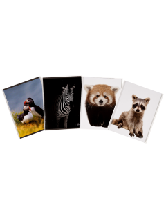Caiet A5, 48 file, 80gsm, coperta carton 300gsm, design animals - dictando