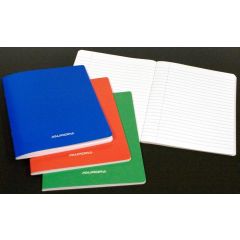 Raspundel Istetel, Caiet A5, 60 file - 80g/mp, liniat stanga, coperta carton laminat, AURORA - dictando - autograf.ro