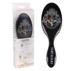 Accesorii pentru copii, Perie de par pentru copii, Harry Potter CE2501307 - autograf.ro