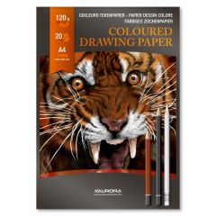 Raspundel Istetel, Bloc desen A4, 20 file - 120g/mp, AURORA Raphael - hartie 10 culori asortate - autograf.ro
