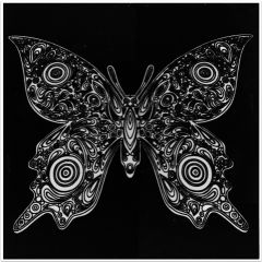 Creioane colorate, Plansa de Catifea pentru Colorat Acvila Contrast Velvet Fluturi 10 - autograf.ro