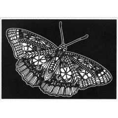 Creioane colorate, Plansa de Catifea pentru Colorat Acvila Contrast Velvet Fluturi 8 - autograf.ro