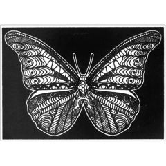 Creioane colorate, Plansa de Catifea pentru Colorat Acvila Contrast Velvet Fluturi 5 - autograf.ro