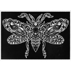 Creioane colorate, Plansa de Catifea pentru Colorat Acvila Contrast Velvet Fluturi 3 - autograf.ro