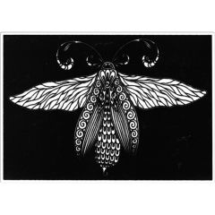 Creioane colorate, Plansa de Catifea pentru Colorat Acvila Contrast Velvet Fluturi 2 - autograf.ro