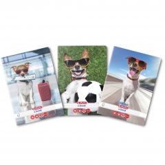 Caiete, CAIET A5 48F DICTANDO COOL DOG - autograf.ro