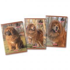 Caiete studentesti /A4, CAIET A4 80F DICTANDO MOTIV BOSS PHANTOM - autograf.ro