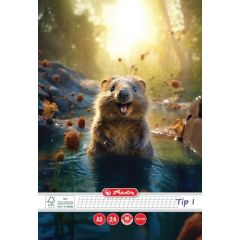 Caiete, Caiet A5 Tip I, motiv Funny Wildlife - autograf.ro
