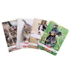 Caiet tip 1, Caiet A5 Tip I, 36 file, motiv Cats & Dogs - autograf.ro