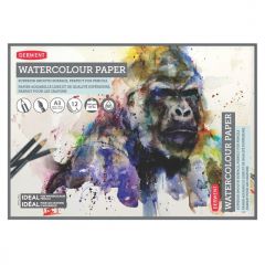 Caiete Derwent, Caiet pentru desen pe baza de apa DERWENT Proffesional, A3, 12 coli, 300 gsm, hartie alba - autograf.ro