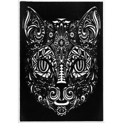 Seturi pictura si desen Gimboo Acvila, Plansa de Catifea pentru Colorat Acvila Contrast Velvet Zoo 6 - autograf.ro