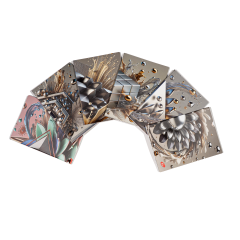 Caiete, Caiet A5, 48 file, 80gsm, coperta carton 300gsm, design 3D arts - matematica - autograf.ro