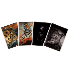 Caiete, Caiet A5, 48 file, 80gsm, coperta carton 300gsm, design animals - matematica - autograf.ro
