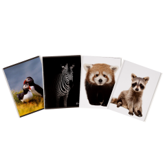 Caiete, Caiet A5, 48 file, 80gsm, coperta carton 300gsm, design animals - dictando - autograf.ro