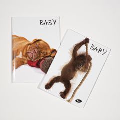 Caiete, Caiet TIP I 36 file, 80gsm, coperta carton 300gsm, design baby pets - autograf.ro