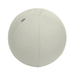Campanie Leitz Ergo, Minge ergonomica LEITZ Ergo, pentru sezut sau fitness, cu functie de oprire, 55 cm, gri-pastel - autograf.ro