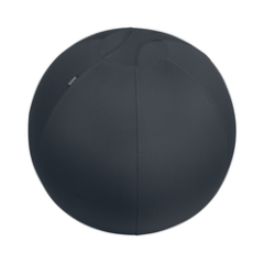 Campanie Leitz Ergo, Minge ergonomica LEITZ Ergo, pentru sezut sau fitness, cu functie de oprire, 65 cm, gri-carbune - autograf.ro