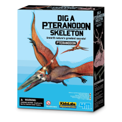 Jocuri educative 4M, Set educativ Sapa si descopera Dinozauri - Pteranodon - autograf.ro