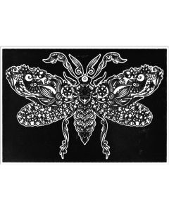 Plansa de Catifea pentru Colorat Acvila Contrast Velvet Fluturi 3