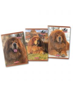 CAIET A4 80F PATRATELE MOTIV BOSS PHANTOM