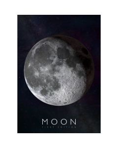 Poster AR (Realitate Augmentata), Curiscope Multiverse, Luna, format A1